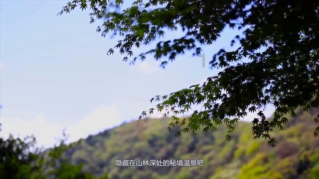 冬季白衬衫怎么搭配—探索你想知道的一切!
