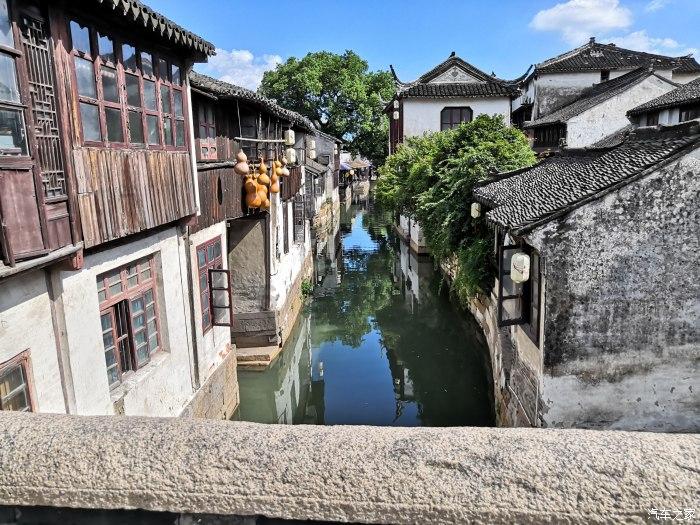 大千世界无奇不有，砍掉一棵1400年的古树的理由会是这么奇葩